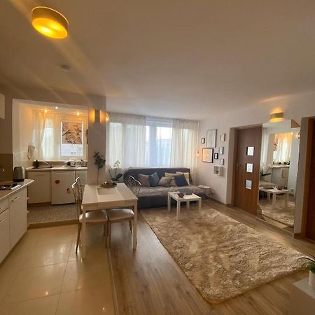 Vicky - New Apartment Centrum Srodmiescie وارسو المظهر الخارجي الصورة