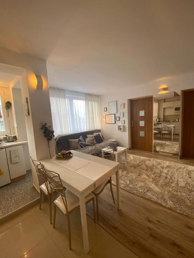 Vicky - New Apartment Centrum Srodmiescie وارسو المظهر الخارجي الصورة